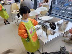 -怪兽屋·羊驼·猫咖·狗咖(俊华广场店)