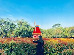 -东莞植物园