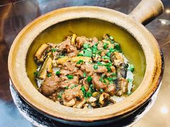 -红星光发煲仔饭(文海店)