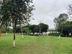 -松山湖南湖湾露营营地