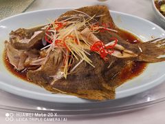 清蒸多宝鱼（斤）-东兴楼饭庄(六里桥店)