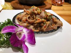 鲜椒沙鱼肚-云里小坐·小院里·团建·宴请·下午茶(三圣乡店)