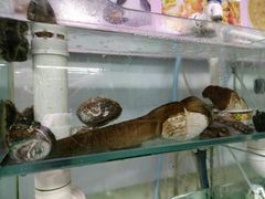 -胖子饺子馆·海鲜家常菜(海军博物馆店)