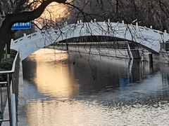 -元大都城垣遗址公园