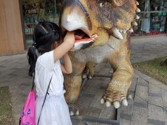 -亚马逊丛林水乐园