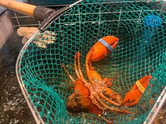 -雍容荟帝王蟹活龙虾展台自助(IFS黑金店)