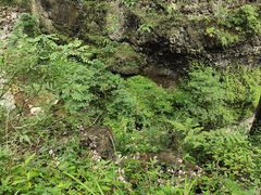 -鹿院坪生态旅游景区