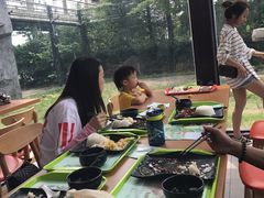 -上海野生动物园老虎餐厅