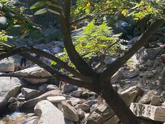 -黑龙潭风景区