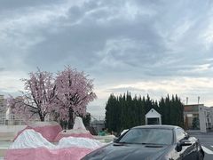 -Blue Concept Cafe&Farm·關於藍