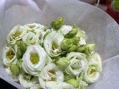 -循礼门鲜花花市(武汉循礼门店)