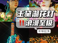 -淄博花灯齐彩城