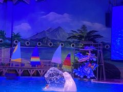 -海合安武汉极地海洋公园