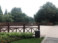 -圩墩遗址公园