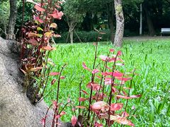 -人民公园(罗湖区)