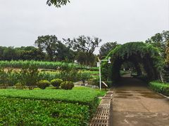 -天河儿童公园
