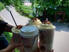 -茶颜悦色(岳麓山顶店)