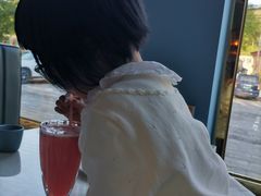 -Sultan pakistan苏单巴基斯坦