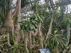 -南山植物园