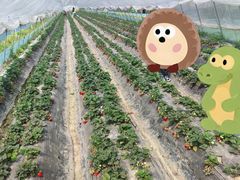 -小鱼草莓采摘园农家乐·小鱼餐厅