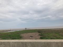 -南汇嘴观海公园