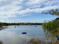 -上海长兴岛郊野公园