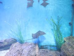 -乌鲁木齐海洋馆