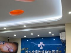 -全心全意连锁动物医院·微创中心·内科急重症·心脏专科(丰管路店)