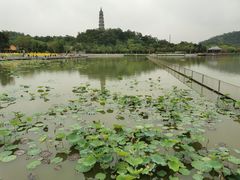 -顺峰山公园