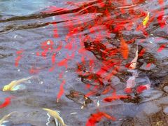 -水磨沟公园