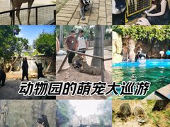 -灵玲国际马戏城
