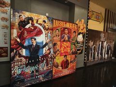 -华谊兄弟影院(IMAX洋桥店)