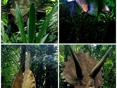 -广州长隆野生动物世界