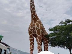 -西霞口神雕山野生动物世界