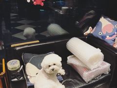 -Oh My Dog宠物沙龙(伊珊娜皮毛护理店)