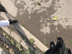 -黄桷坪涂鸦艺术街
