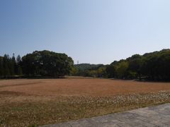 -福建鲤鱼洲酒店