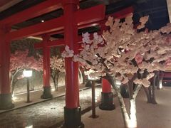 -蓝鲸湾汤泉(包河店)