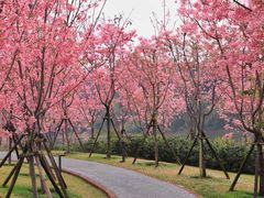 -福建鲤鱼洲酒店