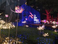 -陆家嘴中心绿地