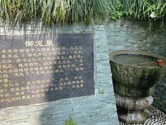-十八棵（老龙井）御茶园(老龙井店)
