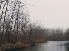 -溱湖国家湿地公园