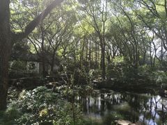 -上海醉白池公园