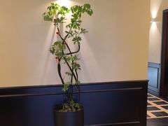-涟LIAN·泰式按摩·MASSAGE·SPA(深业上城店)