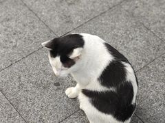 -重庆麻辣烫(国权路店)