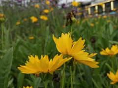 -白鹭湾湿地公园