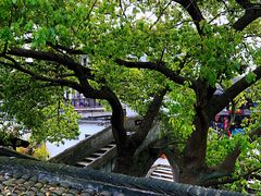 -观桥阁(锦溪店)