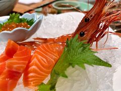 三文鱼刺身-柚子(假日店)