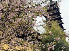 -常熟方塔园