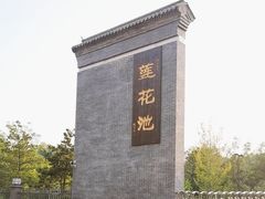-莲花池公园